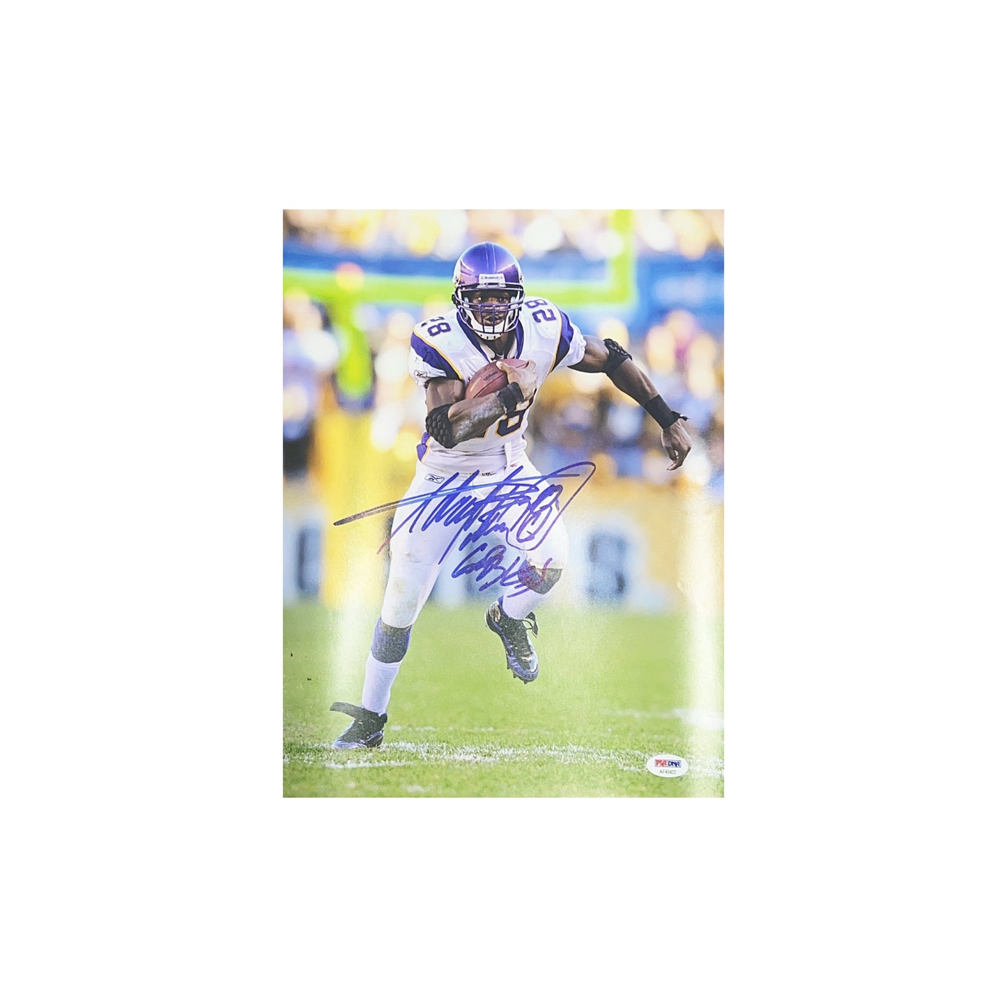 Adrian Peterson Autographed Minnesota Vikings Vertical 11x14 PSA