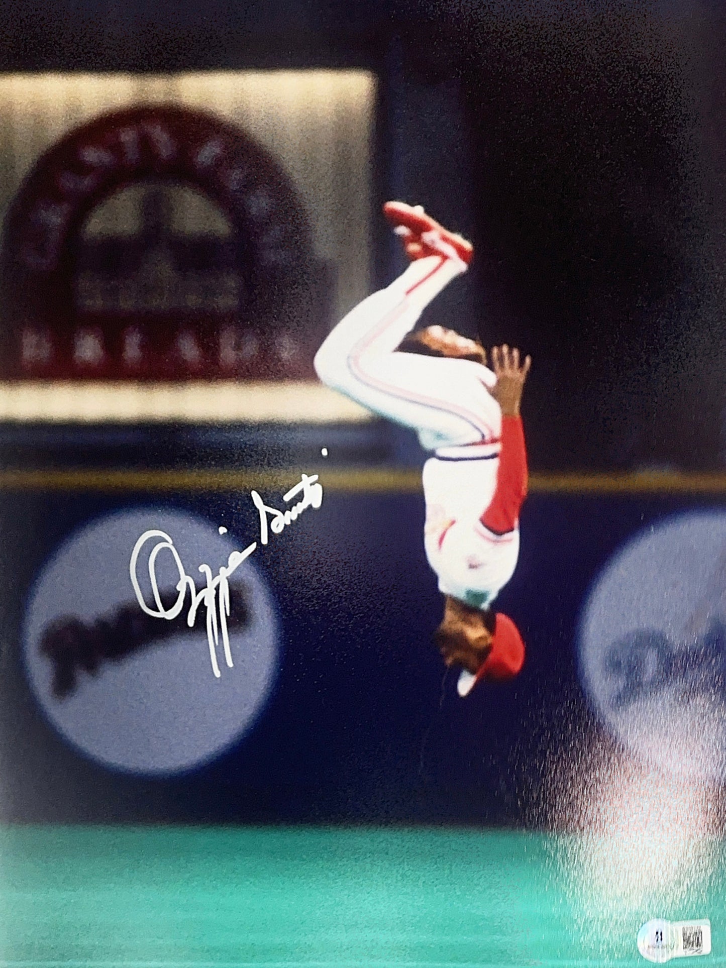 Ozzie Smith Autographed St. Louis Cardinals Flip on FIeld 11x14 Photo Signed Beckett BAS