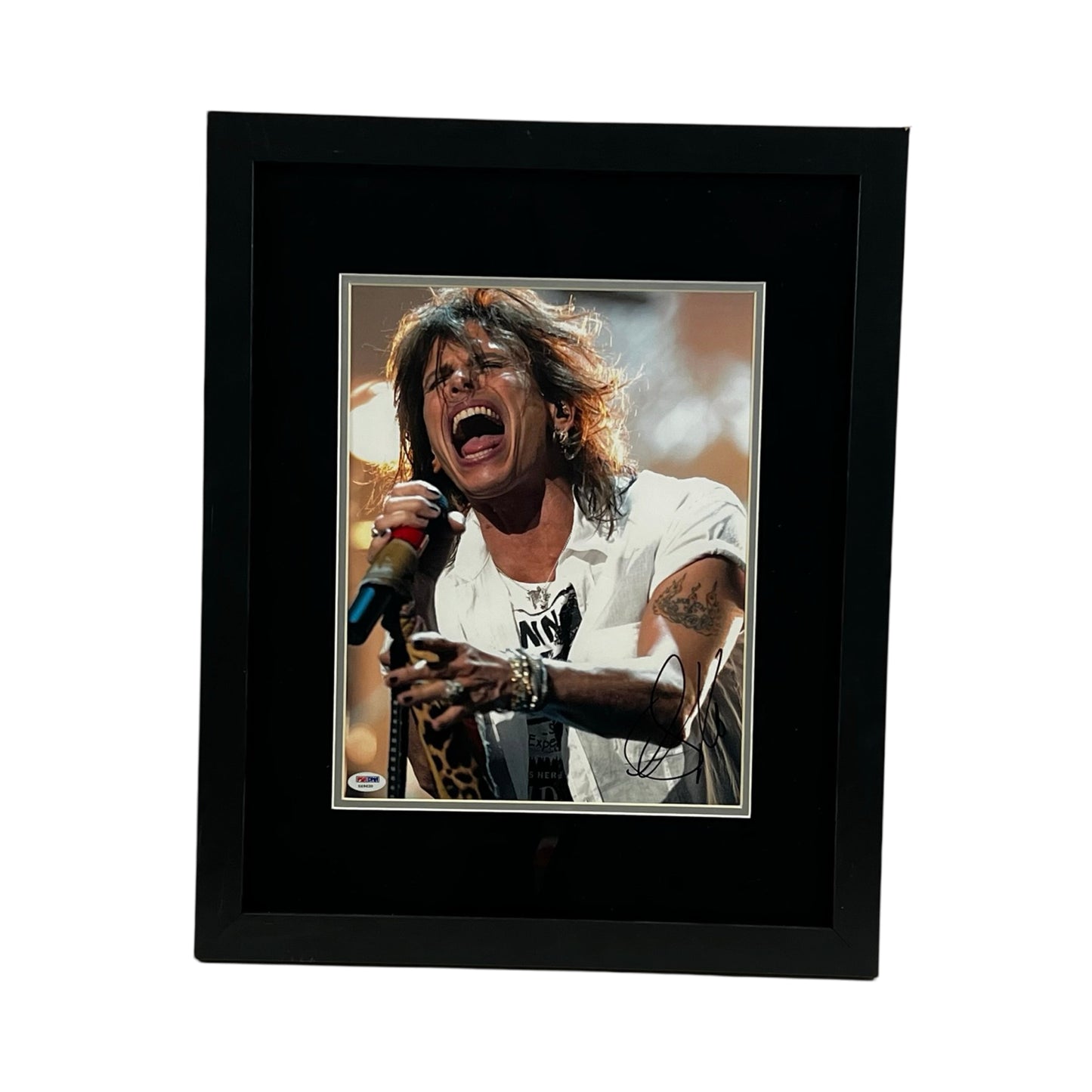 Steven Tyler Autographed Framed 11x14 PSA