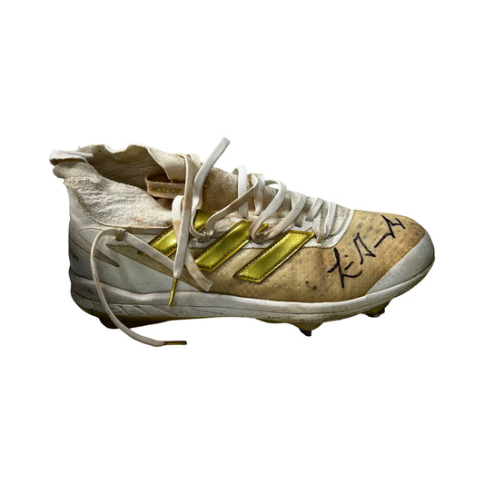 Luis Gonzalez Autographed Arizona Diamondbacks Game Used Cleat JSA