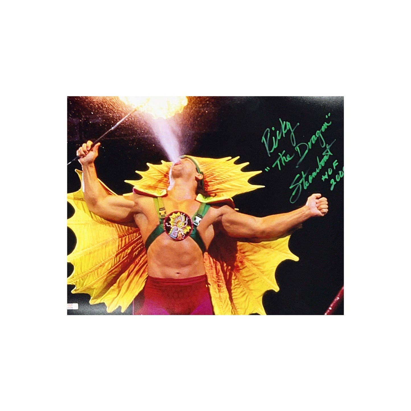 Ricky Steamboat Autographed Horizontal 16x20 The Dragon, WWE HOF 2009 Inscriptions Green Ink Steiner CX