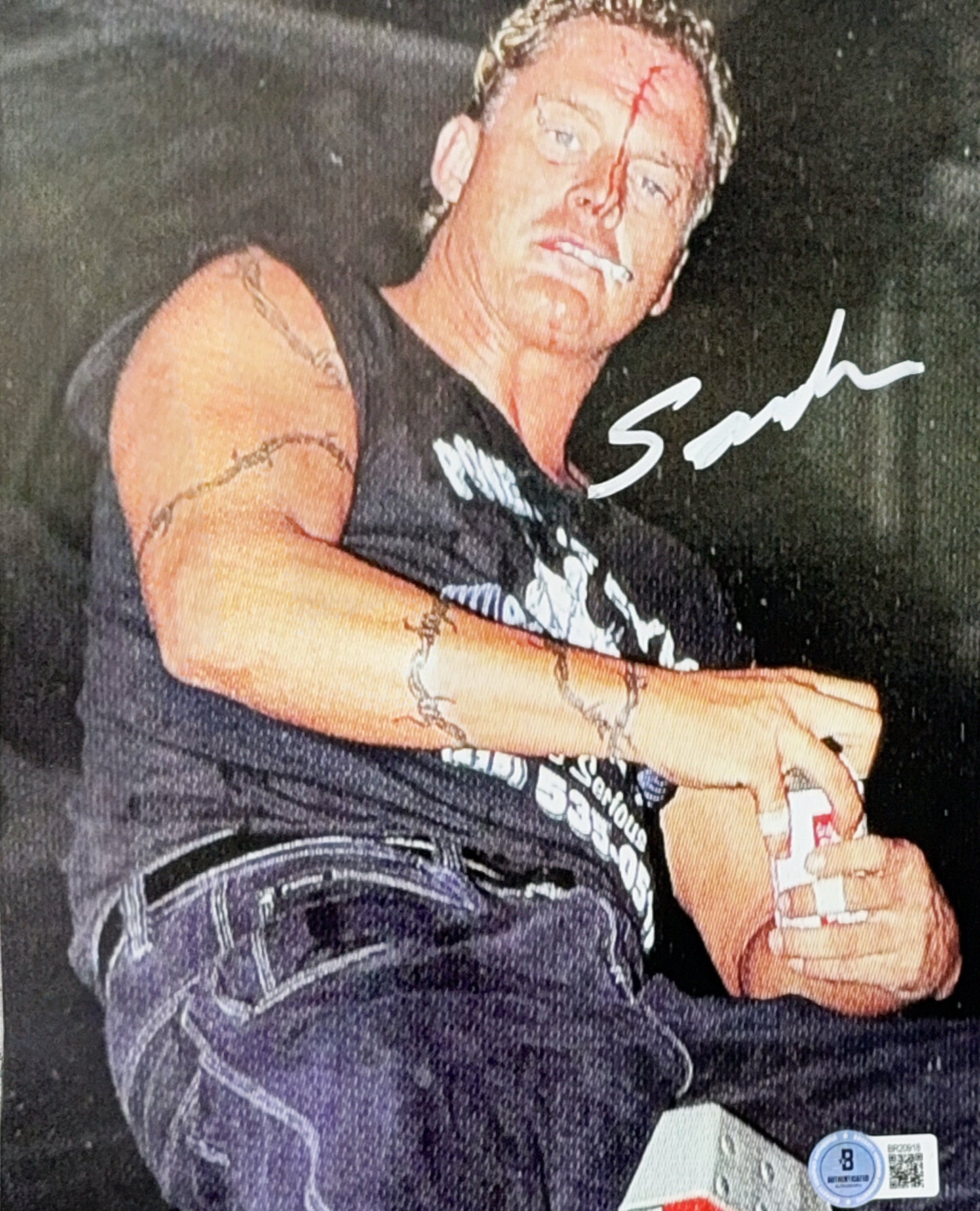 The Sandman Autographed Beer On Ladder 8x10 Beckett