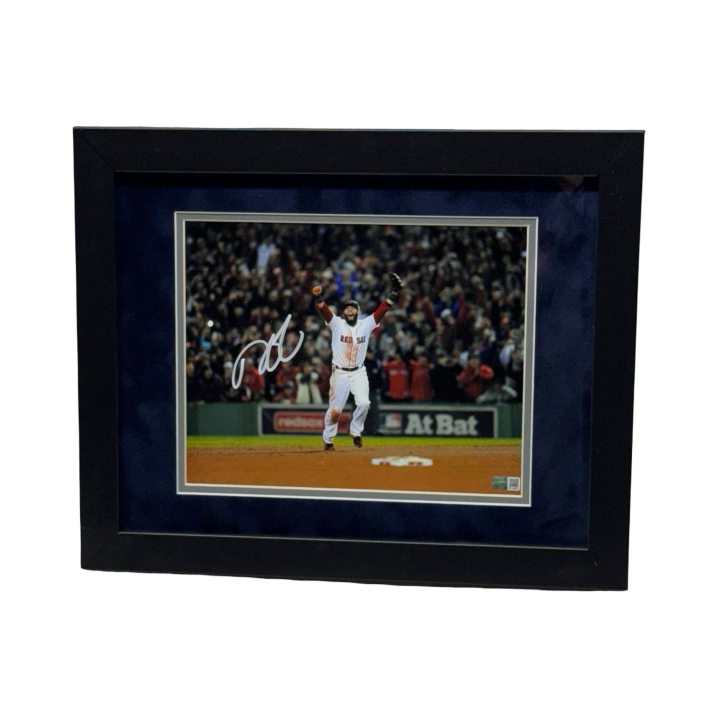 Dustin Pedroia Autographed Boston Red Sox Celebration 8x10 Steiner CX - Framed
