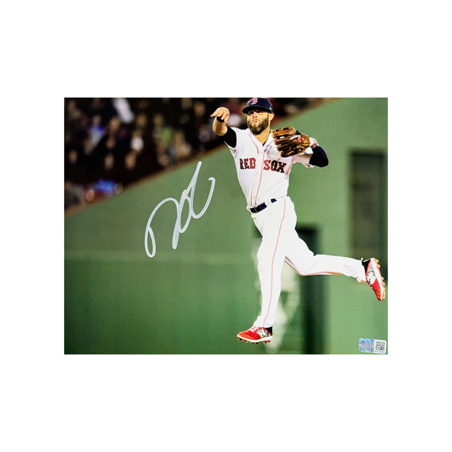 Dustin Pedroia Autographed Boston Red Sox Jump Throw 8x10 Steiner CX