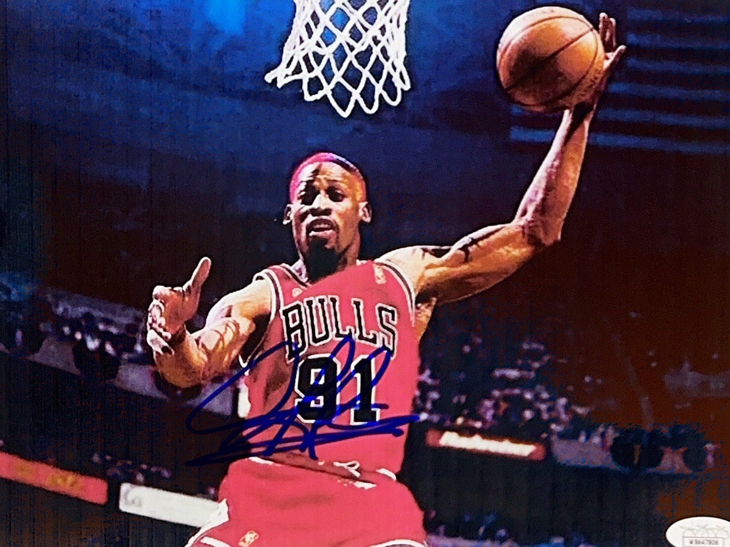 Dennis Rodman Autographed Chicago Bulls Horizontal Rebound 8x10 JSA - Unframed