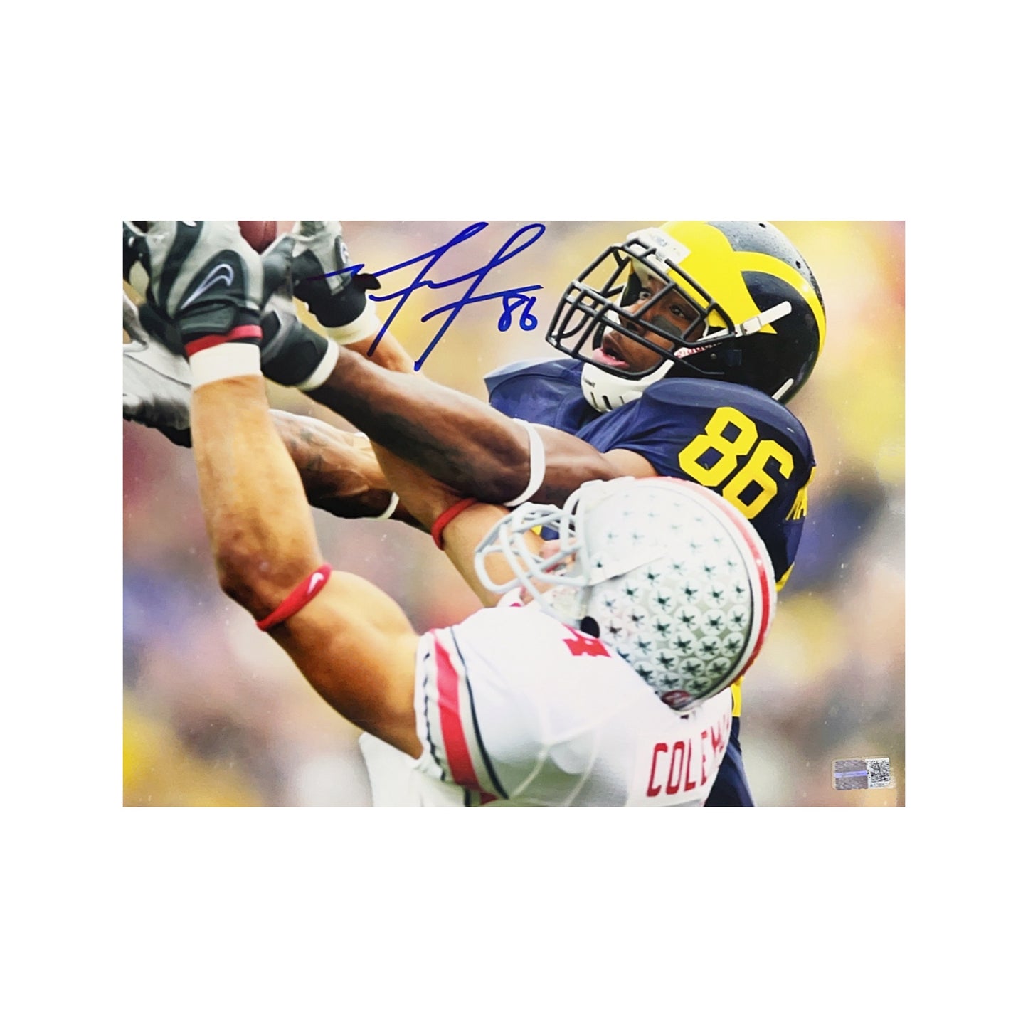 Mario Manningham Autographed Michigan Wolverines Catch Horizontal 8x10 Steiner CX