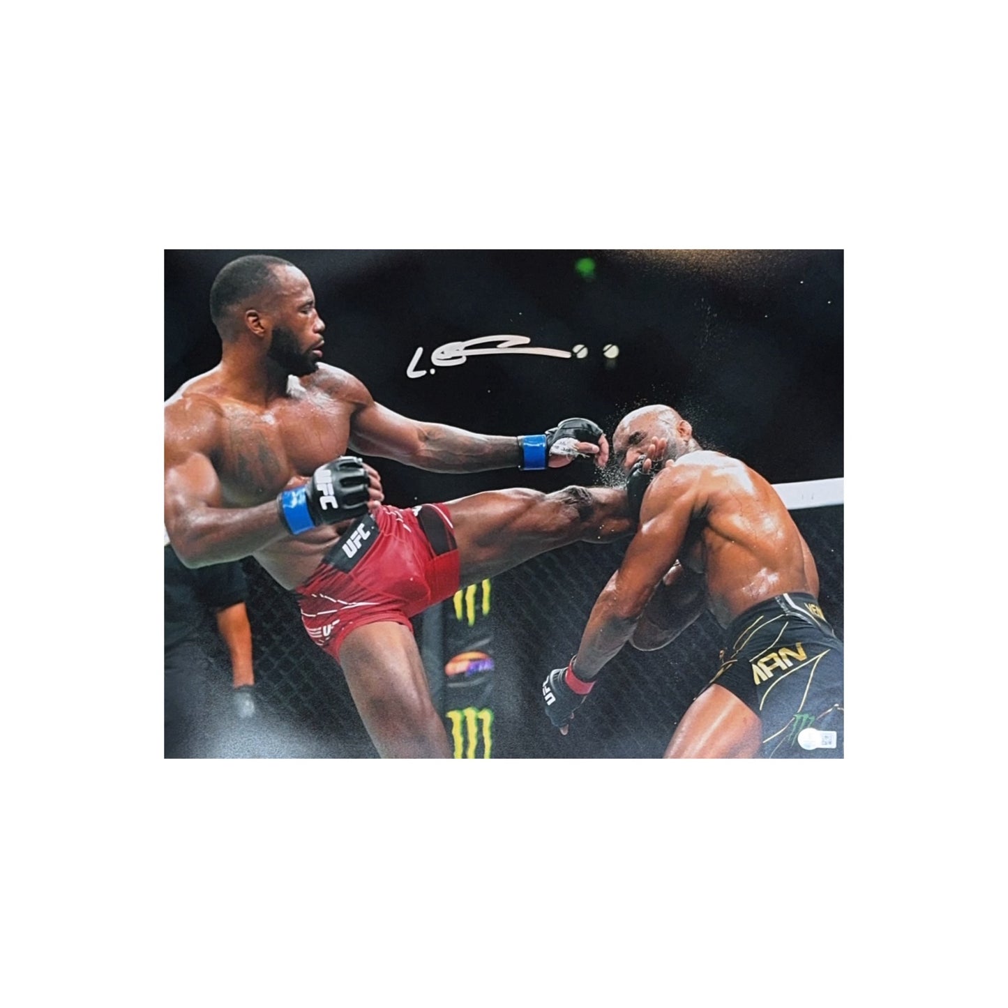 Leon Edwards Autographed UFC 16x20 Beckett