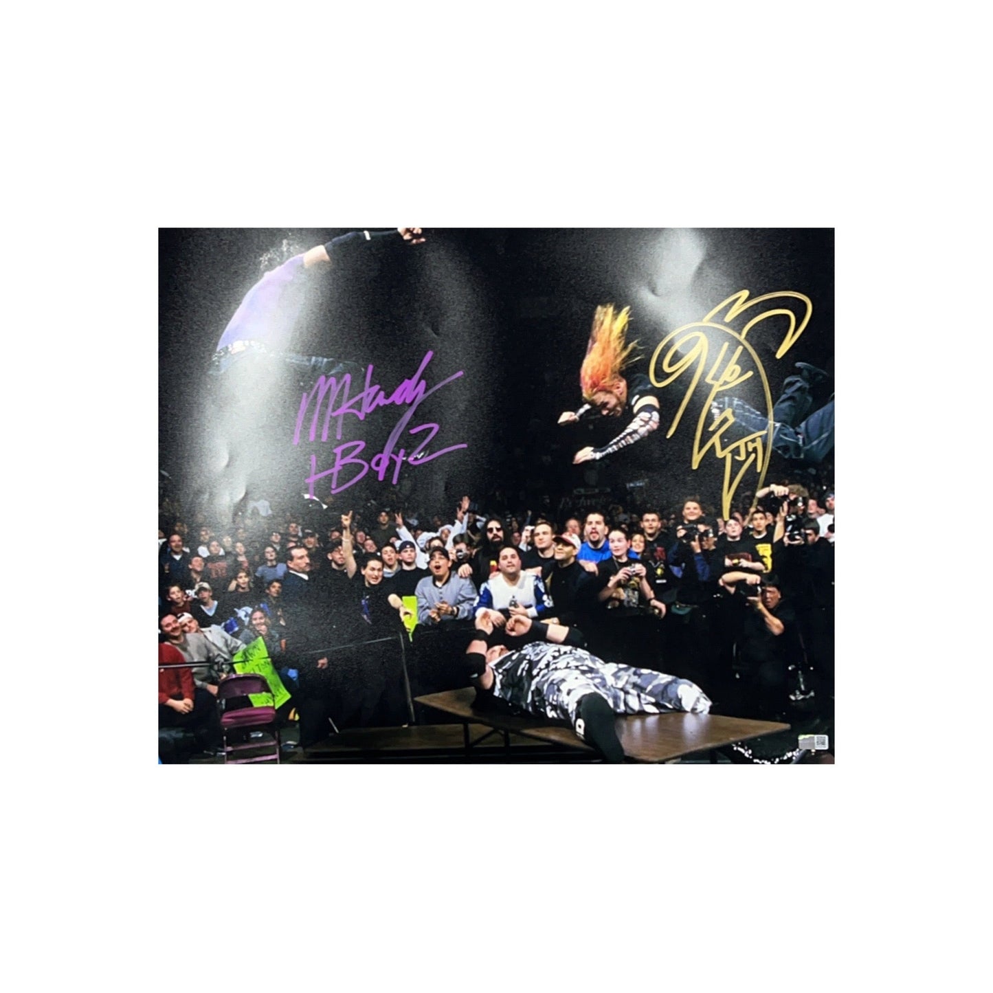 Matt Hardy & Jeff Hardy Autographed Splash On Bubba Ray Dudley 16x20 Steiner CX