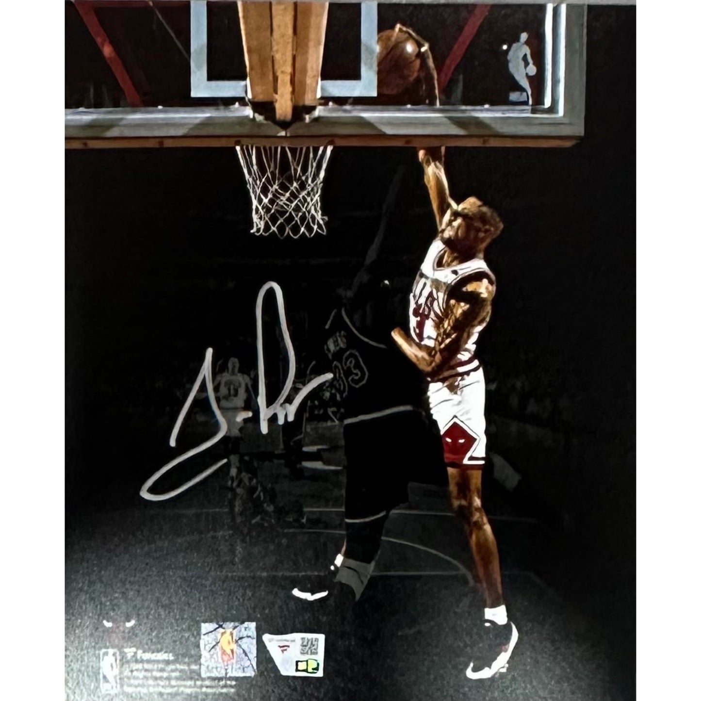 Scottie Pippen Dunk 8x10 Fanatics