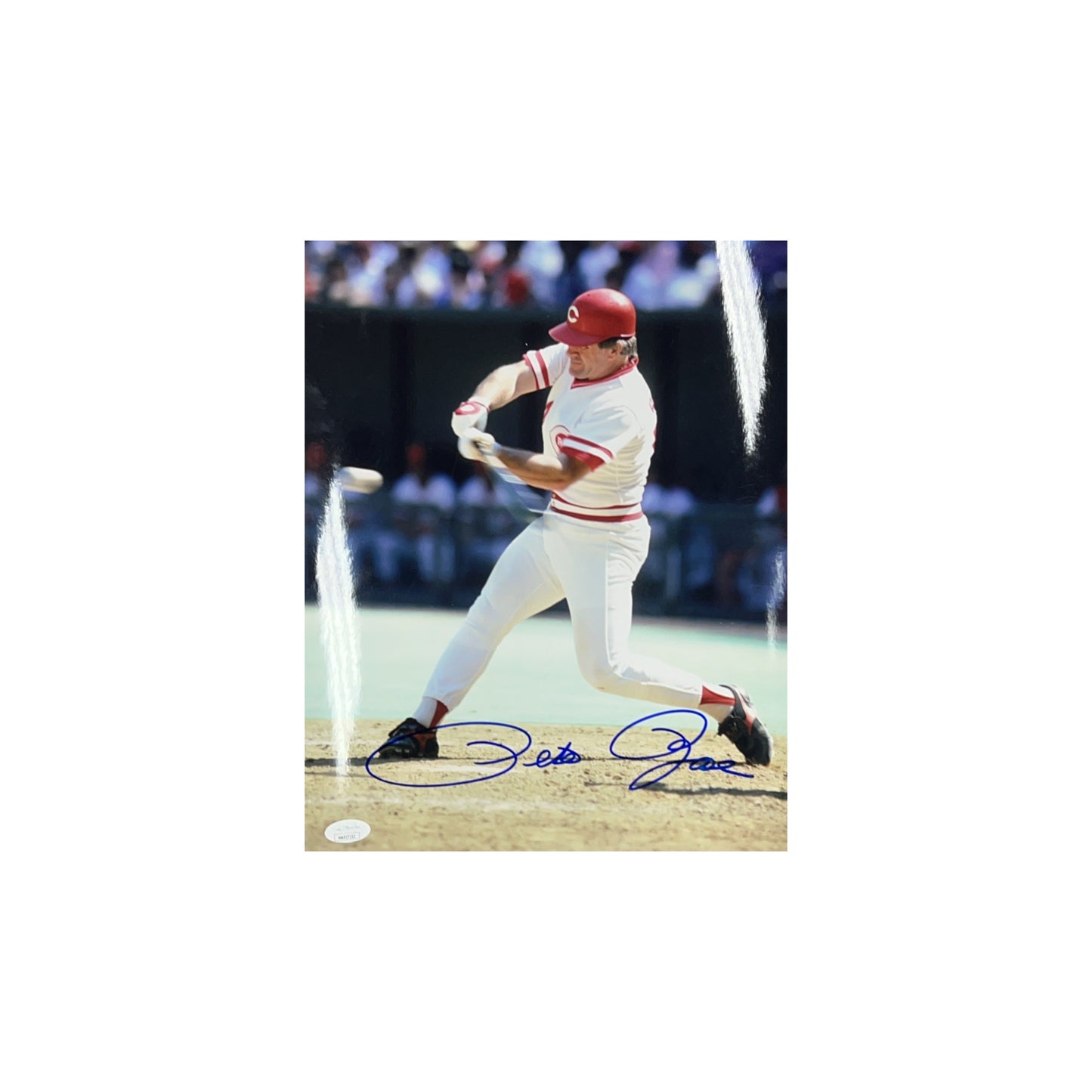Pete Rose Autographed Cincinatti Reds Swing 11x14 JSA
