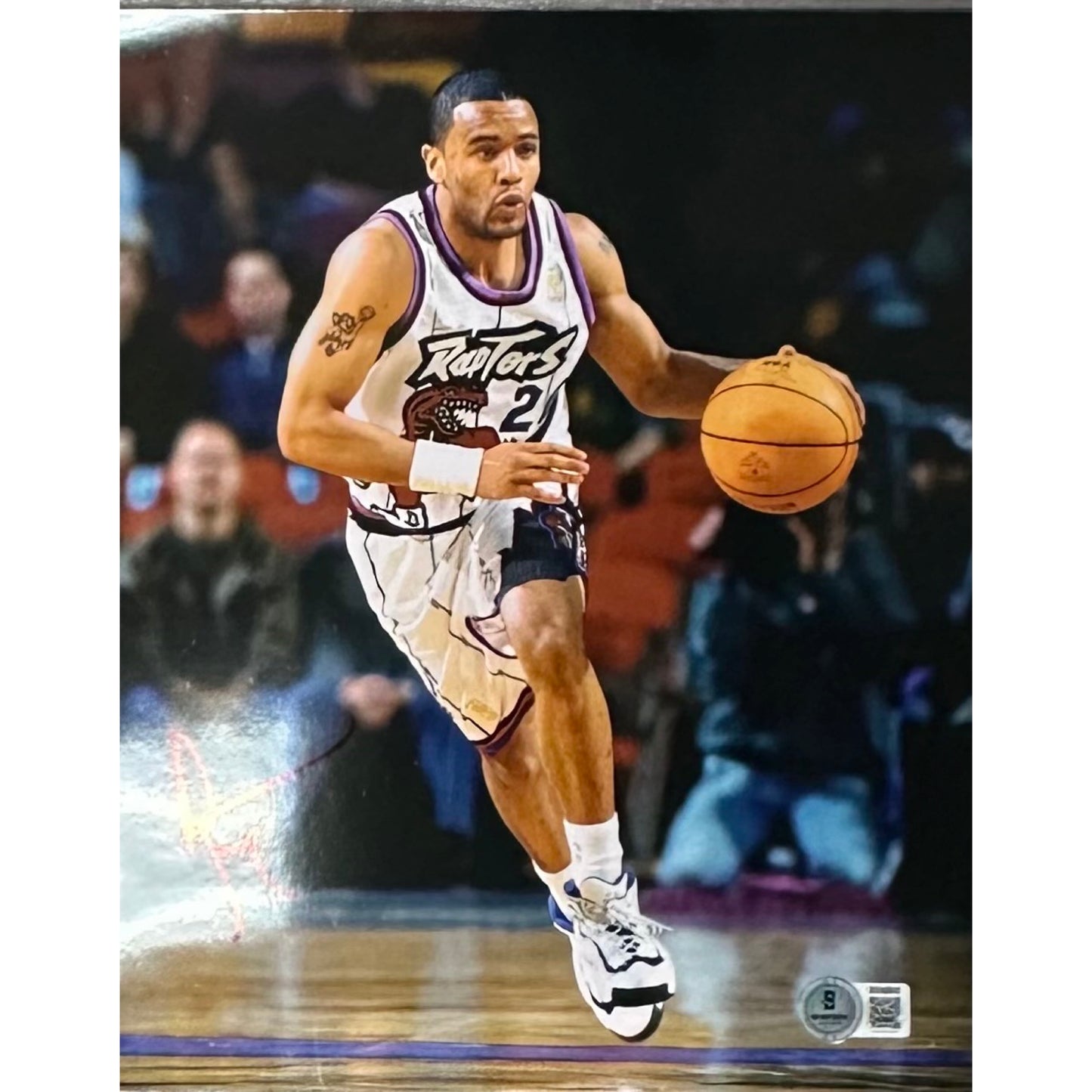 Damon Stoudamire Toronto 8x10 Vertical Dribble Beckett BAS