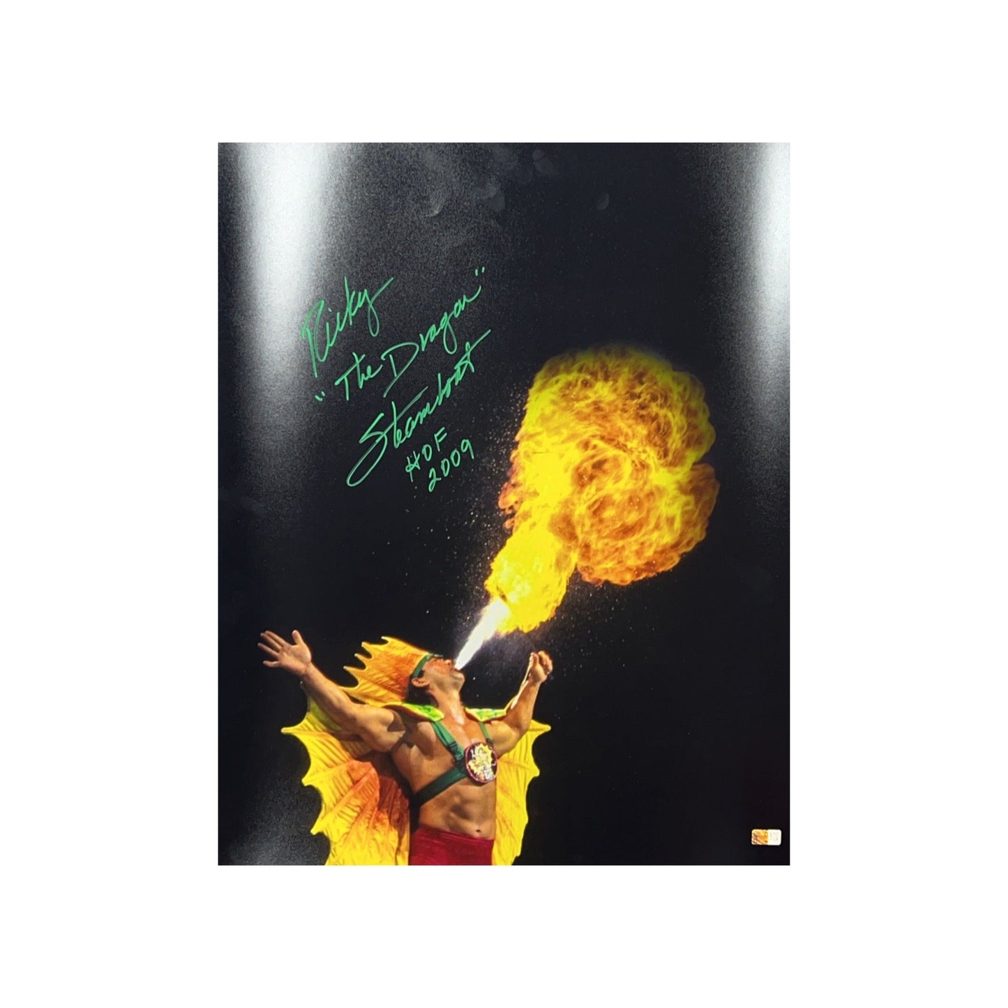 Ricky Steamboat Autographed Vertical 16x20 The Dragon, WWE HOF 2009 Inscriptions Green Ink Steiner CX