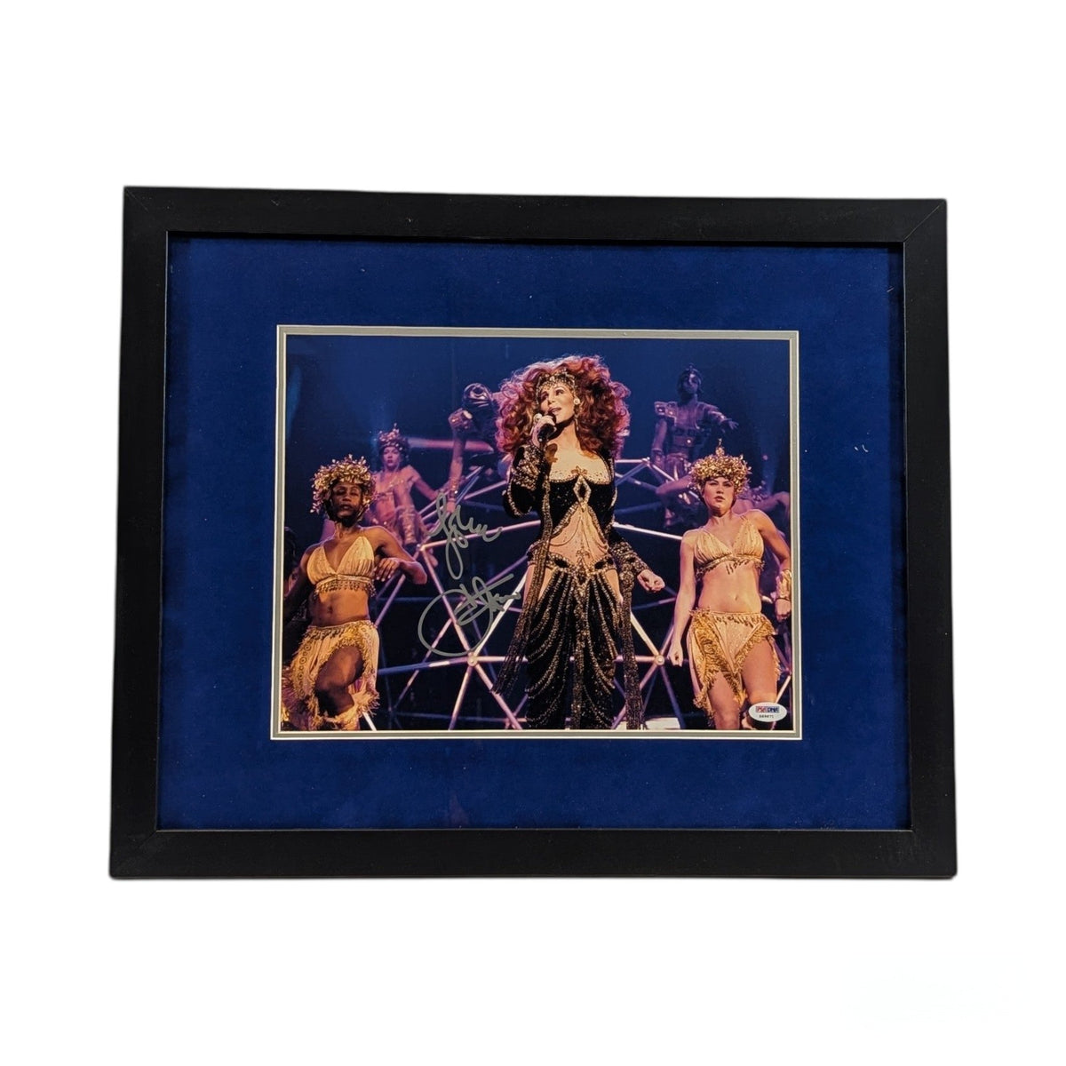Cher Autographed Black & Gold Dress Framed 11x14 PSA