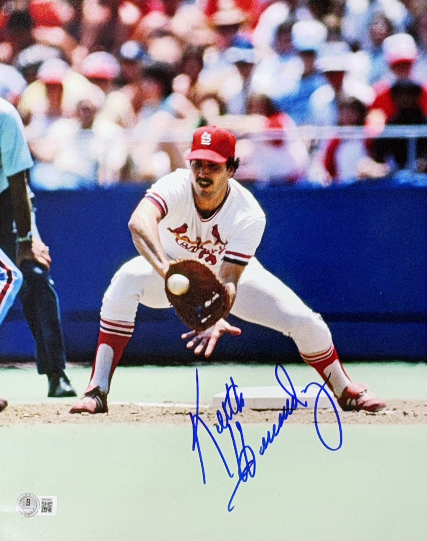 Keith Hernandez Autographed St.Louis Cardinals Fielding 11x14 Beckett