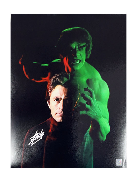 Stan Lee Autographed Incredible Hulk 16x20 ASI