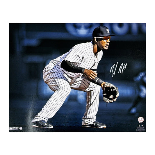 Miguel Andujar Autographed New York Yankees Fielding 16x20 Steiner