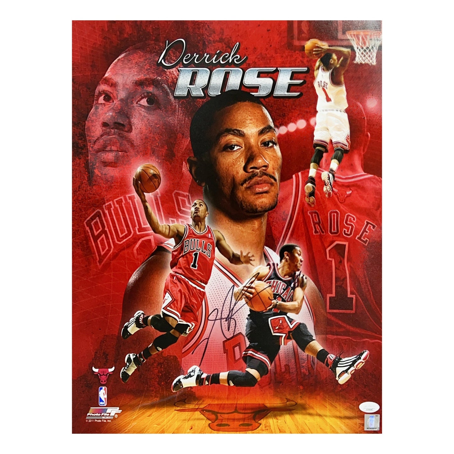 Derrick Rose Autographed Chicago Bulls Edit 16x20 JSA
