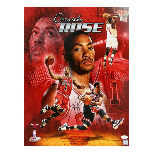 Derrick Rose Autographed Chicago Bulls Edit 16x20 JSA