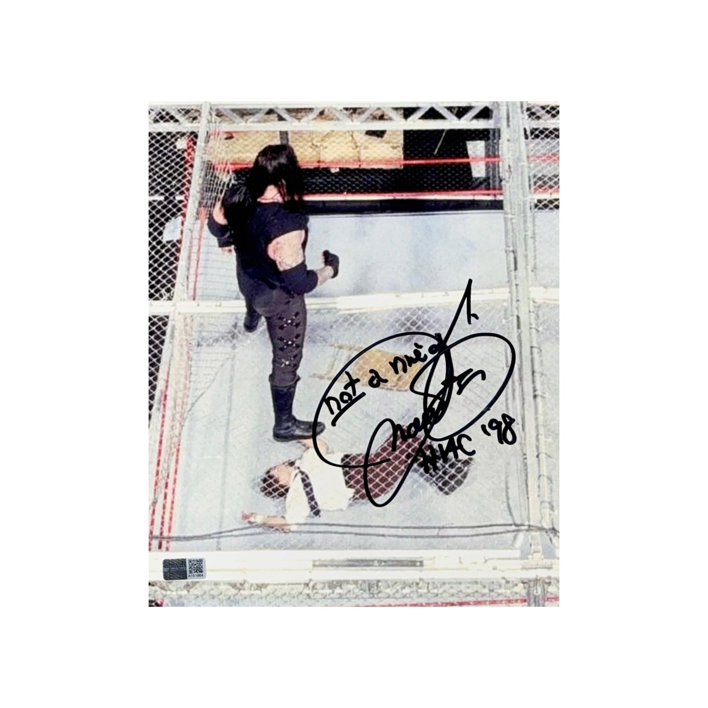 Mick Foley Autographed WWE Hell in the Cell Undertaker Stand Over 8x10 HITC 98, Have a Nice Day Inscriptions Steiner CX