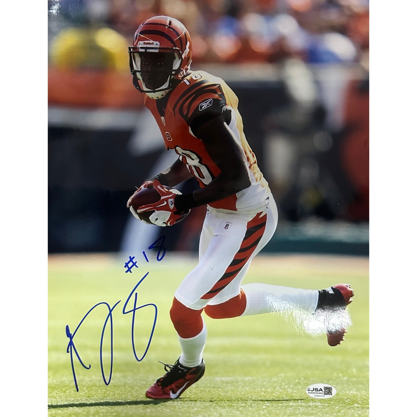 AJ Green Autographed Cincinnati Bengals 11x14 JSA