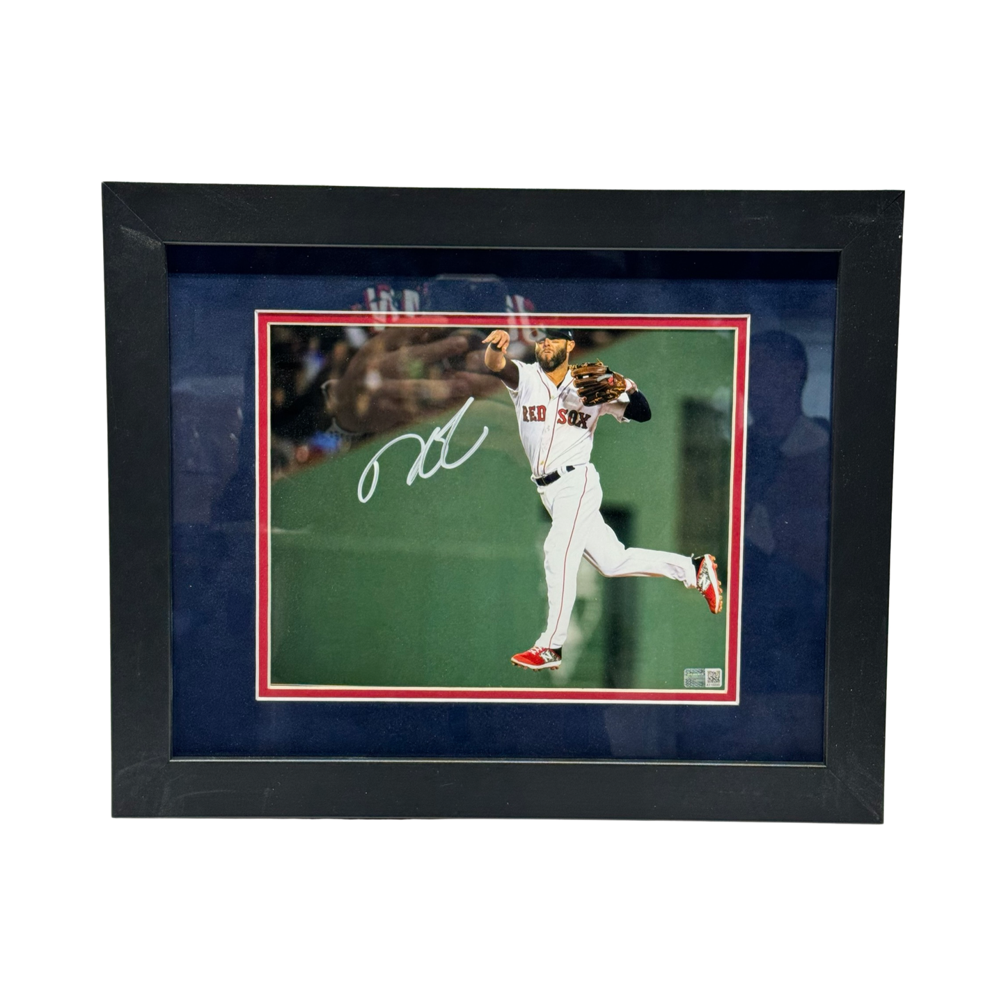 Dustin Pedroia Autographed Boston Red Sox Jump Throw 8x10 Steiner CX