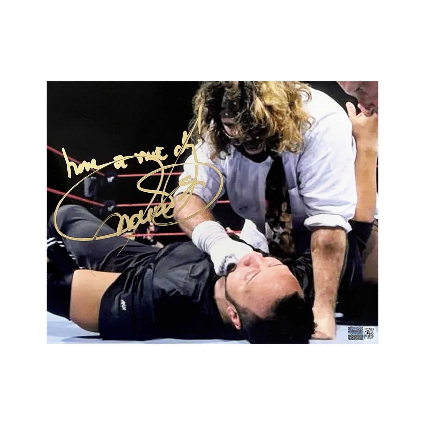 Mick Foley Autographed Mankind WWE Socko vs The Rock 8x10 “Have a Nice Day” Inscription Steiner CX