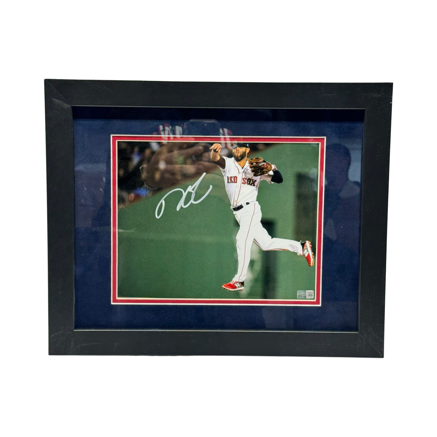 Dustin Pedroia Autographed Boston Red Sox Jump Throw 8x10 Steiner CX - Framed