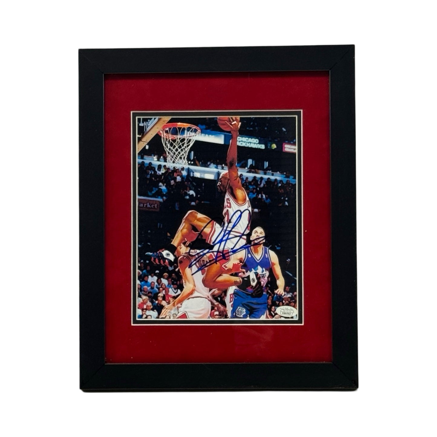 Dennis Rodman Autographed Chicago Bulls Vertical Rebound Side View 8x10 JSA - Framed